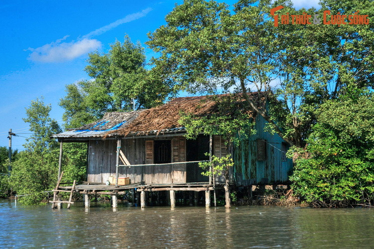 Những ngôi nhà sàn mộc mạc trên sông nước là hình ảnh thân thuộc về cuộc sống gắn liền với hệ thống kênh rạch chằng chịt ở Cà Mau.
