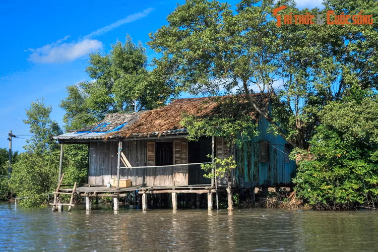 Những ngôi nhà sàn mộc mạc trên sông nước là hình ảnh thân thuộc về cuộc sống gắn liền với hệ thống kênh rạch chằng chịt ở Cà Mau.