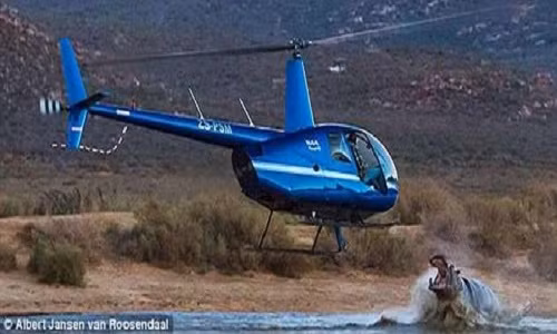 Ha ma hung hang phi than tan cong truc thang