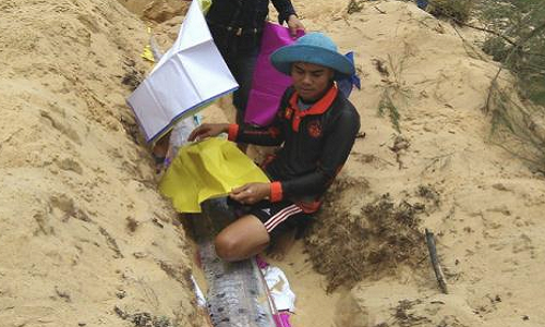 Cá hố rồng chết dạt vào bờ biển Quảng Bình. Ảnh: Dân trí