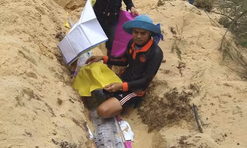 Cá hố rồng chết dạt vào bờ biển Quảng Bình. Ảnh: Dân trí