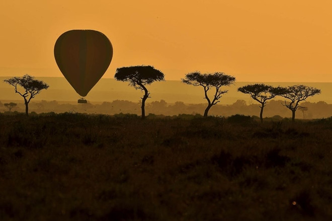 Mùa di cư cũng là thời điểm có tương đối các nhà khoa học và khách du lịch tới nghiên cứu và chiêm ngưỡng các loài động vật. Vì vậy, có thể dễ dàng bắt gặp cảnh tưởng khinh khí cầu bay trên những đồng bằng châu Phi tuyệt đẹp.