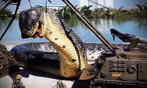 Rắn khổng lồ tại Iran?