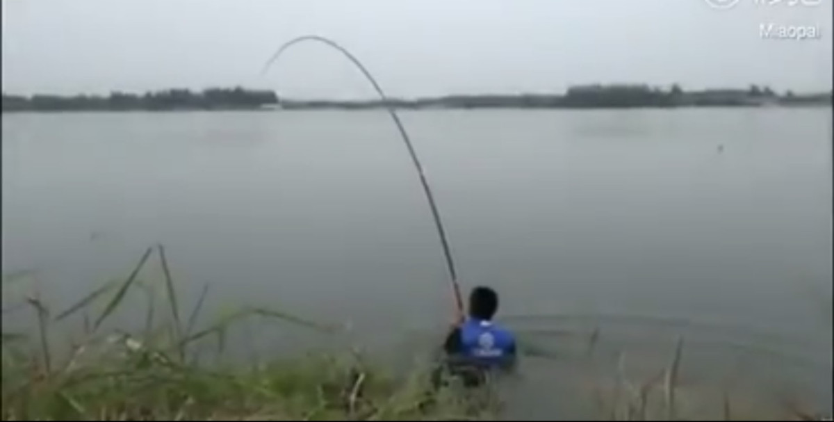 Ông Li bị lôi xuống hồ. (Ảnh chụp màn hình).