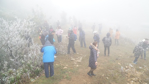 Theo ghi nhận của PV, trên đỉnh Ô Quý Hồ không còn tuyết, chỉ còn băng giá nhưng lượng khách kéo về vẫn rất đông. Đây được ghi nhận là đợt băng giá lớn nhất trong năm tại Sa Pa.