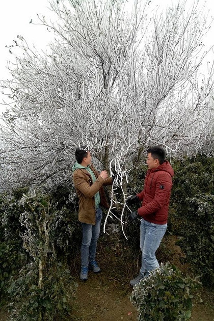 Mạng xã hội đã tạo nên một hiệu ứng mạnh mẽ lan truyền tới nhiều du khách đam mê, khám phá du lịch, phượt Tà Xùa trong thời tiết khắc nghiệt cận âm như hiện nay.