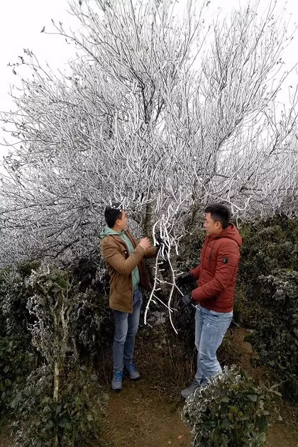 Mạng xã hội đã tạo nên một hiệu ứng mạnh mẽ lan truyền tới nhiều du khách đam mê, khám phá du lịch, phượt Tà Xùa trong thời tiết khắc nghiệt cận âm như hiện nay.