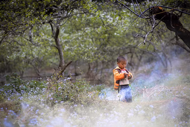 Phượt Mộc Châu dịp này chắc hẳn bạn sẽ không cảm thấy chút tiếc nuối nào cả, bởi bạn sẽ dễ dàng bắt gặp những thung lũng hoa trắng xóa, từ hoa mơ, hoa mận đến hoa cải hoặc cả những khúc hoa tam giác mạch lạc giữa khoảng đồi thơ mộng.