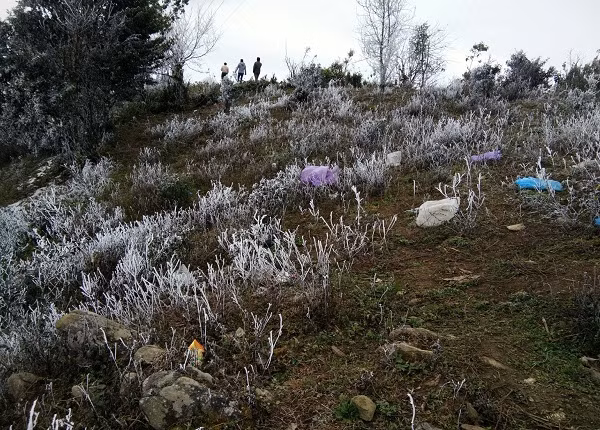 Nền nhiệt ngoài trời hôm nay vẫn chừng -1 - 0 độ C, có mưa và sương mù dày đặc. Bất chấp thời tiết buốt giá,vẫn không ngăn cản được bước chân của du khách từ nhiều nơi đổ về Tà Xùa để ngắm băng tuyết.