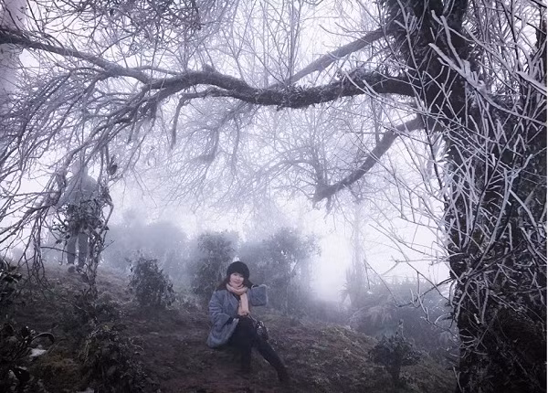 Những ngày gần đây, thông tin về băng tuyết xuất hiện trên Tà Xùa tràn ngập trên các trang mạng xã hội như facebook, zalo... Dân mạng bàn tán rôm rả và hẹn nhau thành từng tốp, từng nhóm chuẩn bị hành trang cho chuyến du lịch ngắm băng tuyết trên đỉnh Tà Xùa.