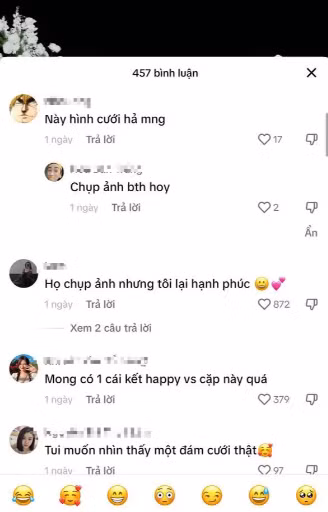 Tuy nhiên, cũng có bình luận cho biết đây chỉ là một concept chụp ảnh cưới với Linh Ngọc Đàm và bạn trai là người mẫu.