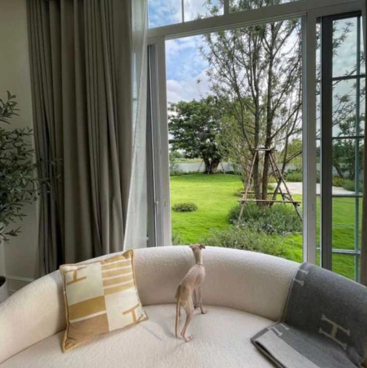 Không chỉ được thiết kế chu đáo, sang trọng, không gian của ngôi nhà còn được phân chia vô cùng hợp lý, bao gồm cả sân vườn để gia chủ có thể trồng cây hoặc mời bạn bè tụ tập vào mỗi cuối tuần.