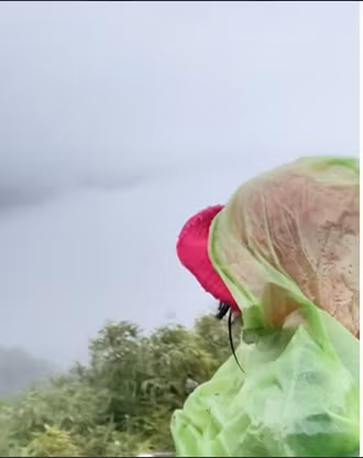 Theo hình ảnh, chuyến trekking của cô là hành trình leo núi, khó đi, có khi phải đi trong đêm khi trời tối mịt, trèo đèo lội suối băng rừng...Nguồn: TikTok @hanae.nguyen