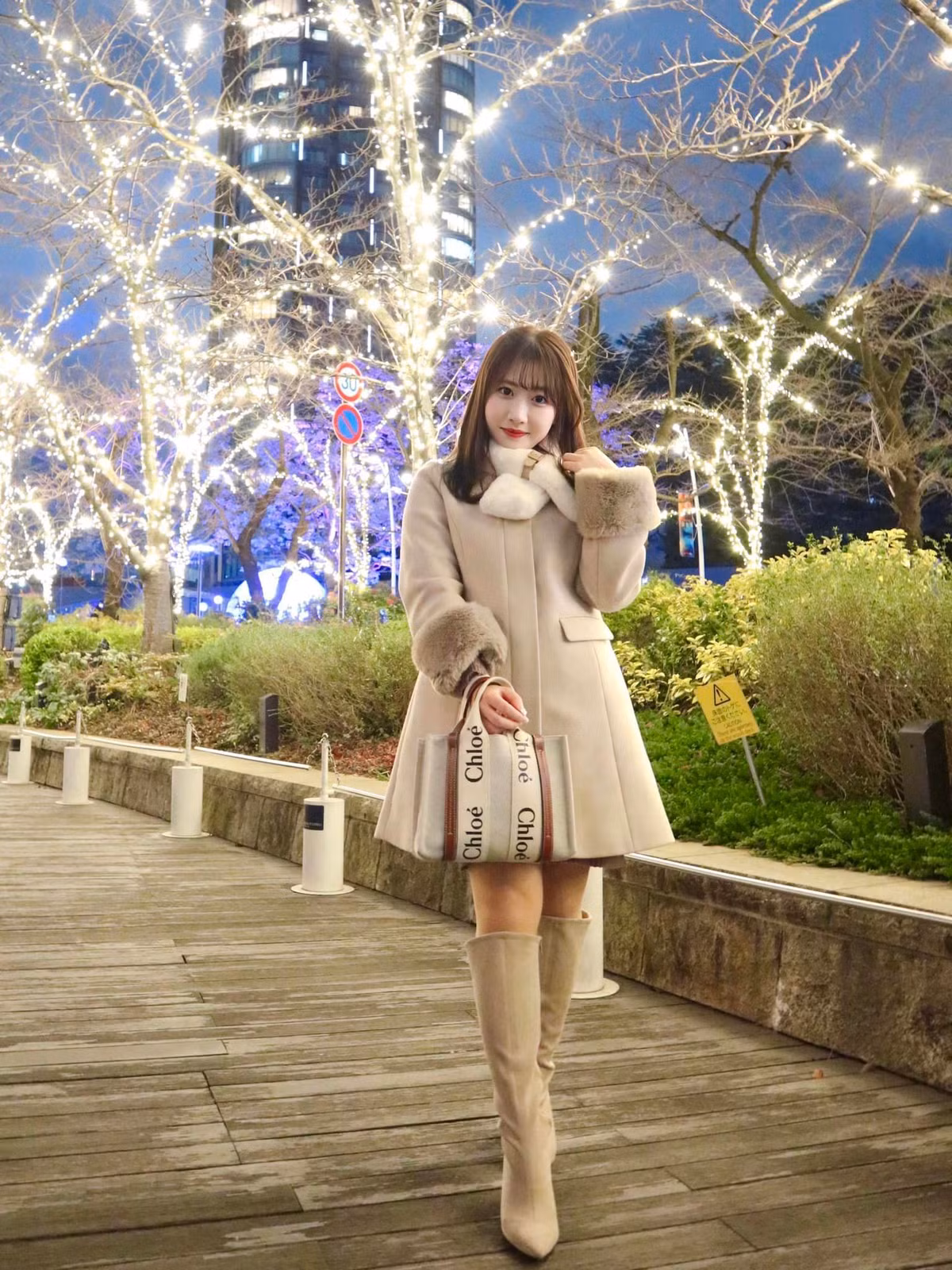 Hiện, cô Đinh Sao Mai đang học Thạc sĩ ngành Ngôn ngữ Nhật tại trường Đại học Hà Nội.