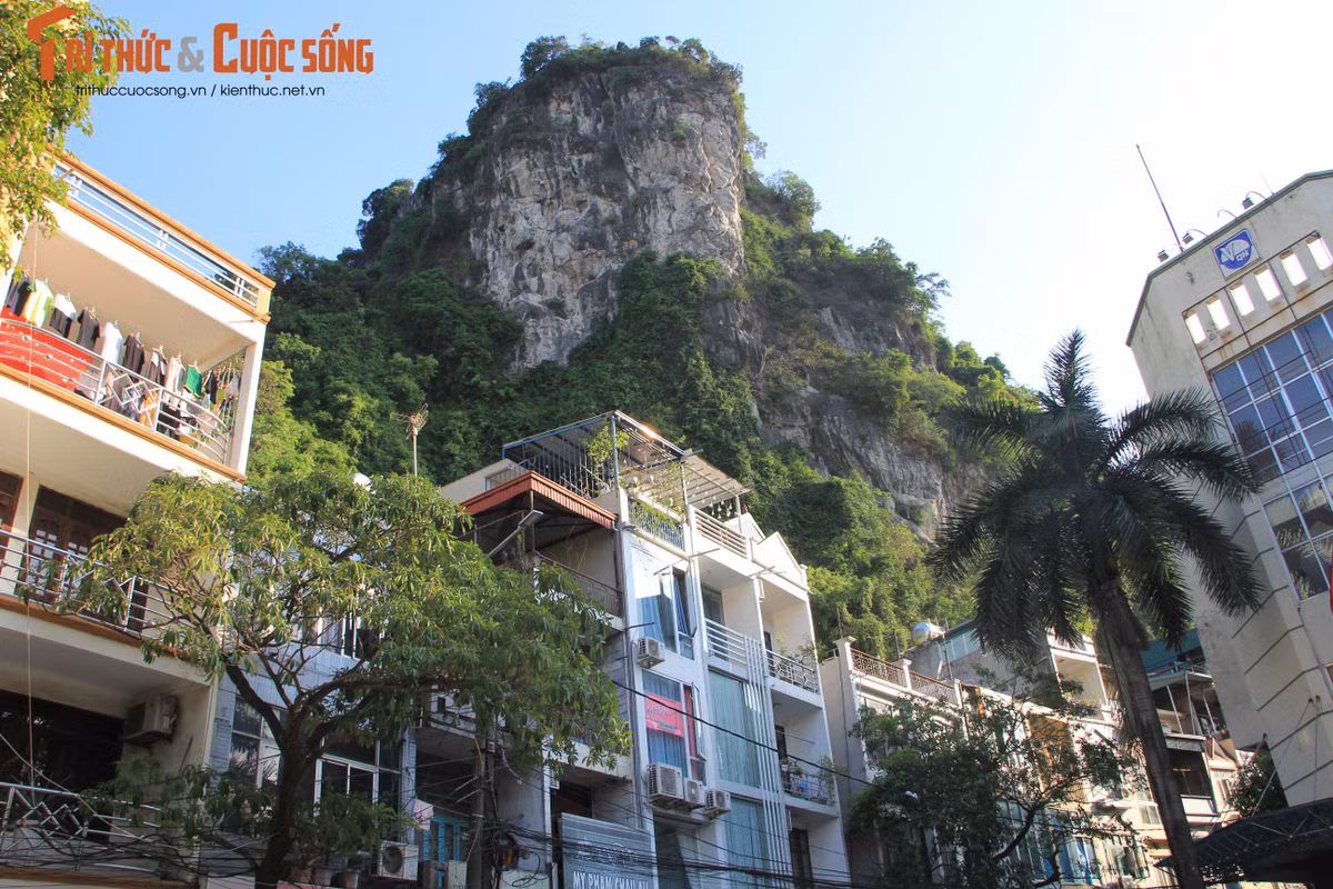 Theo các công ty du lịch, mở cửa núi Bài Thơ và có phương án kinh doanh, phục vụ tốt, lượng khách đến thành phố sẽ tăng mạnh. Đặc biệt, với hệ thống di tích, điểm vui chơi - giải trí, chợ, trung tâm thương mại… dày đặc xung quanh chân núi Bài Thơ, du khách có thể vui chơi, khám phá một ngày cũng không hết. >>> Mời độc giả xem thêm video Bắc cầu cho dê lên núi kiếm ăn ở Hòa Bình: