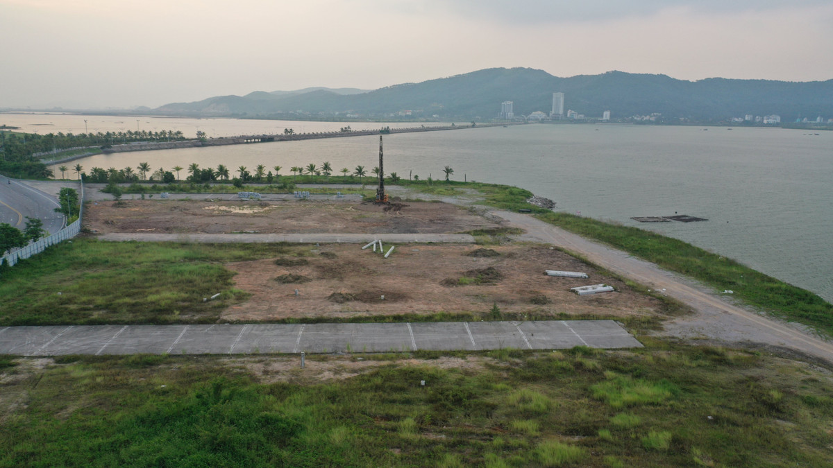 Viva Land, doanh nghiệp được thành lập vào tháng 5/2019 với tên gọi ban đầu là CTCP Cirius Power với vốn điều lệ đăng ký 2.000 tỷ đồng, do 3 cổ đông sáng lập là cá nhân đăng ký góp 75% vốn. Đến tháng 2/2020, Cirius Power đổi tên thành CTCP Đầu tư và Phát triển Viva Land. Chủ tịch HĐQT Viva Land hiện là ông Chen Lian Pang - nguyên Tổng Giám đốc CapitaLand Việt Nam, còn ông Eddie Lim CEO cũng từng có 25 năm kinh nghiệm làm việc tại CapitaLand.