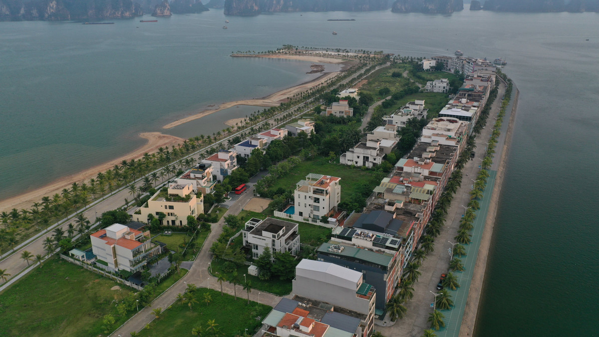 Theo thông tin từ website công ty (vivaland.com), Viva Land có thêm một dự án mới là Đảo Tuần Châu tại TP Hạ Long, tỉnh Quảng Ninh. Tại dự án này, Viva Land sẽ làm các sản phẩm biệt thự, biệt thự nghỉ dưỡng, shophouses, căn hộ, condotel, bán lẻ...