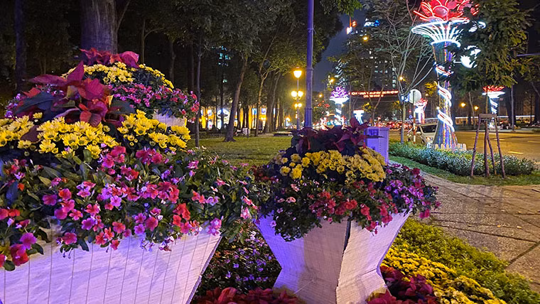 Hoa tươi từ khắp nơi đã được đưa về để trang hoàng đường phố Sài Gòn.