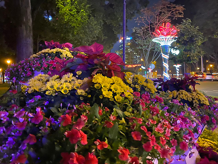 Hoa đủ màu sắc tô điểm TP đón chào năm mới 2020.