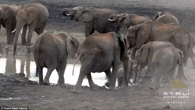 Chúng tiếp tục cuộc hành trình của mình.