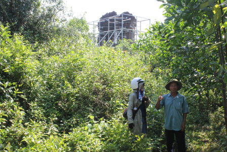 Đường vào kinh đô Phật giáo um tùm cỏ dại.