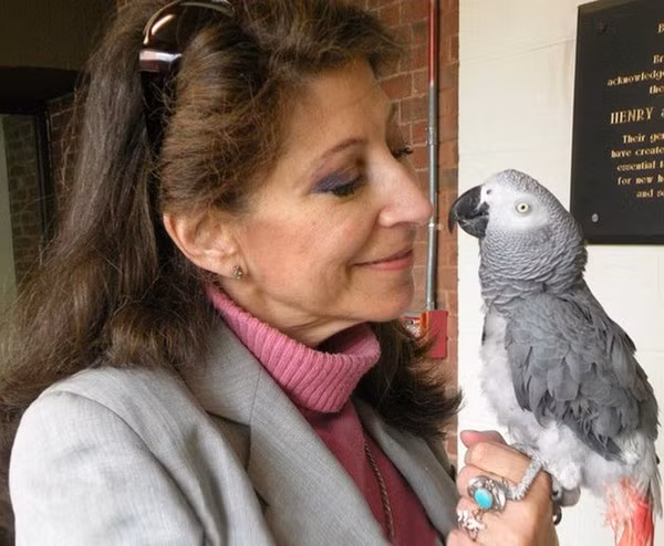 Lời sau cuối cảm động của chú vẹt thiên tài Alex. Chú vẹt có mối quan hệ thân thiết với người chủ, tiến sĩ tâm lý động vật học Irene Pepperberg. Chính bà là người huấn luyện Alex trở thành cá thể độc nhất vô nhị, có thể nói được hơn 100 từ. Khi qua đời năm 2007, Alex đã dành những lời sau cuối với người chủ: "Cô sẽ ổn thôi. Tôi yêu cô."