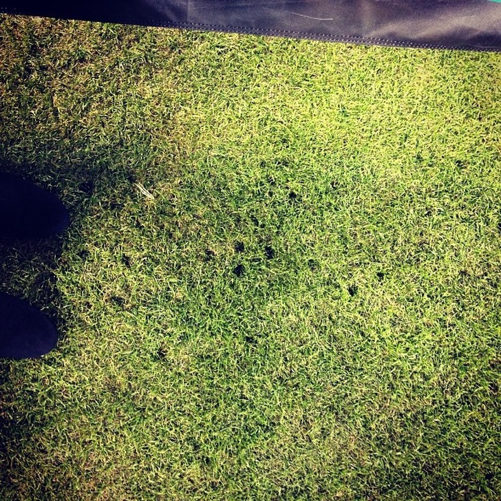 Các gót giày lỗ chỗ khi nàng đi giày cao gót.