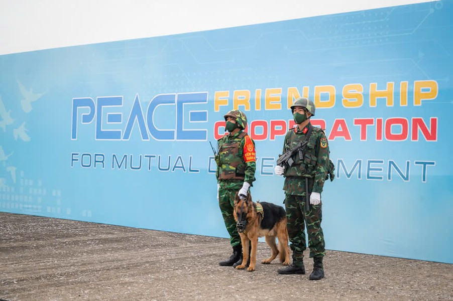 Triển lãm lần thứ hai có quy mô và diện tích trưng bày lớn hơn rất nhiều so với lần thứ nhất.