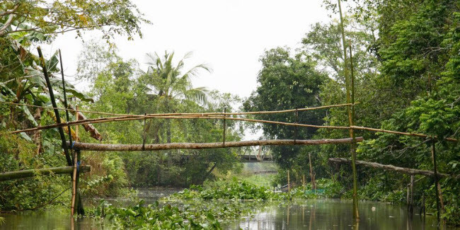 Cầu khỉ, Việt Nam: Cầu khi được người dân ở Đồng bằng sông Cửu Long làm từ tre. Ngày nay, những cây cầu khỉ được thay thế bằng cầu bê tông cốt thép.