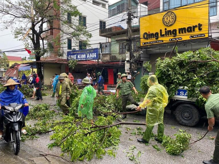 Cùng người dân dọn dẹp cây đổ trên phố.