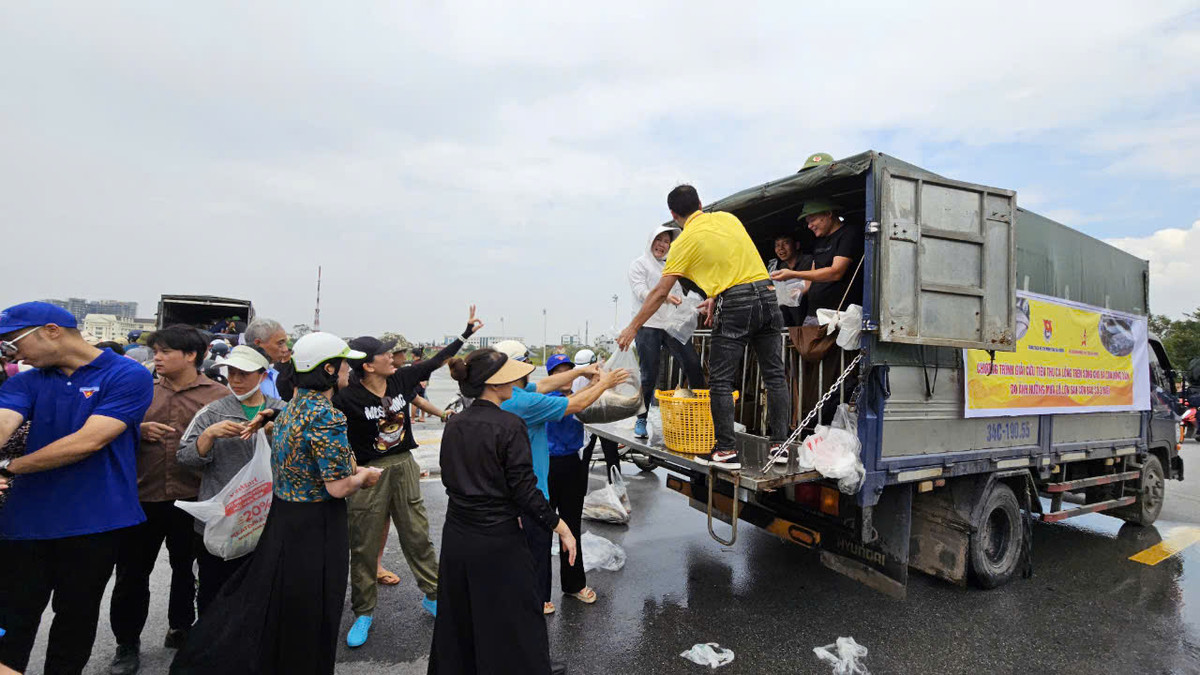 Cá chép giòn giá giải cứu chỉ 150.000 đồng/con từ 2 đến 5kg, giá thị trường là 130.000/kg