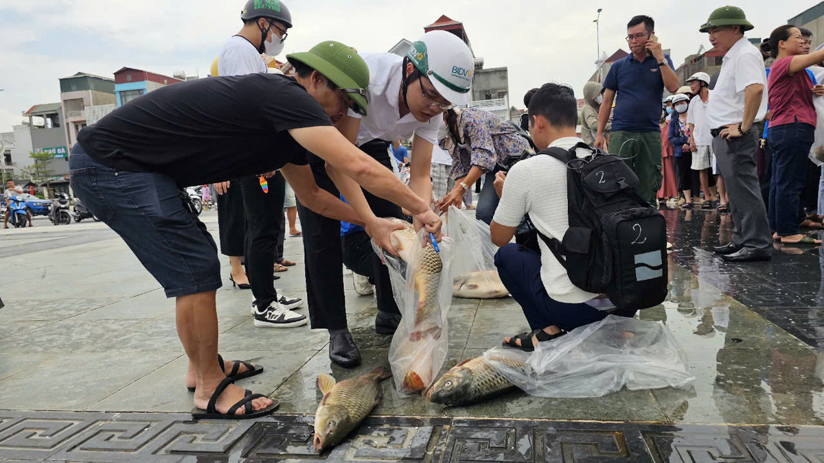 Những con cá này trung bình khoảng 3 đến 4kg.