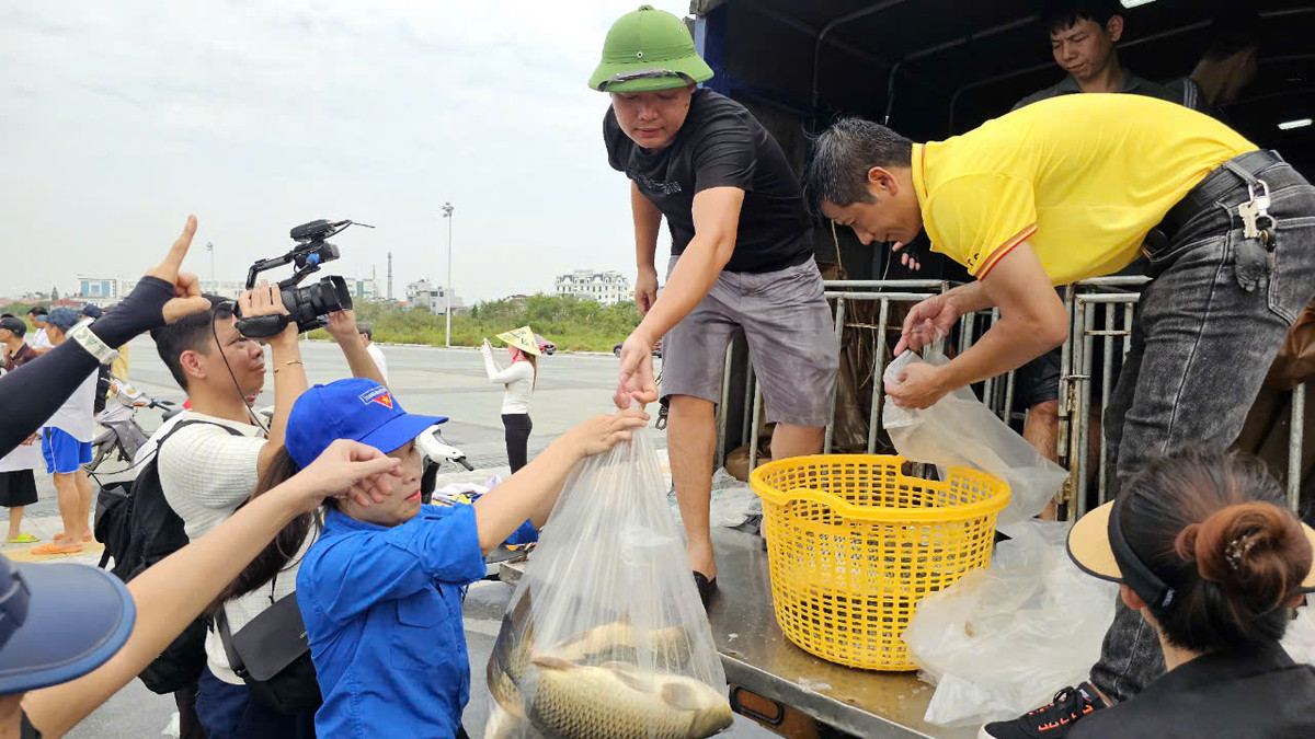 Do số lượng khách hàng đến mua đông nên người giải cứu cá rất vất vả.