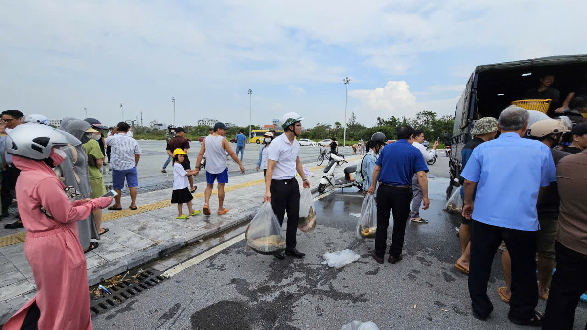 Nhiều người mua nhiều cá, vừa để giải cứu giúp người nông dân nuôi cá lồng vừa để dùng cho gia đình và biếu họ hàng, người thân.