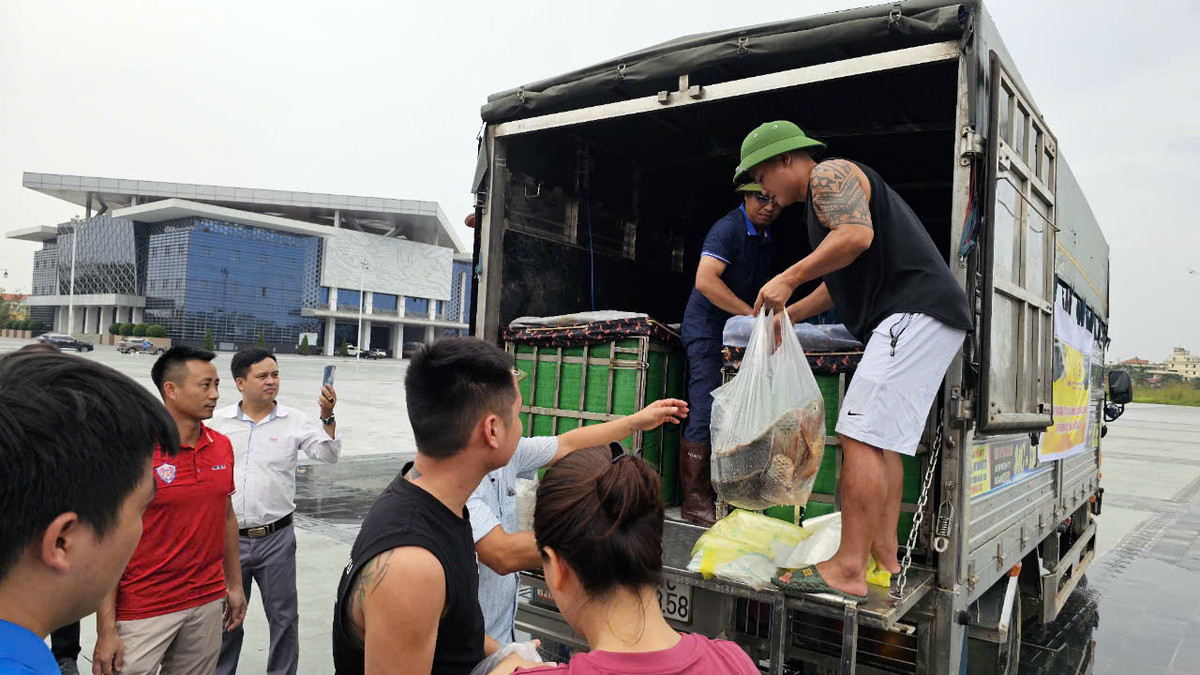 Nhiều người mua trung bình 3 con cá chép giòn.