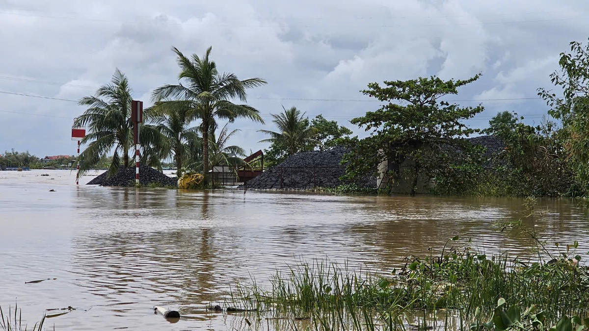 Một bãi than chất cũng sát mép sông.
