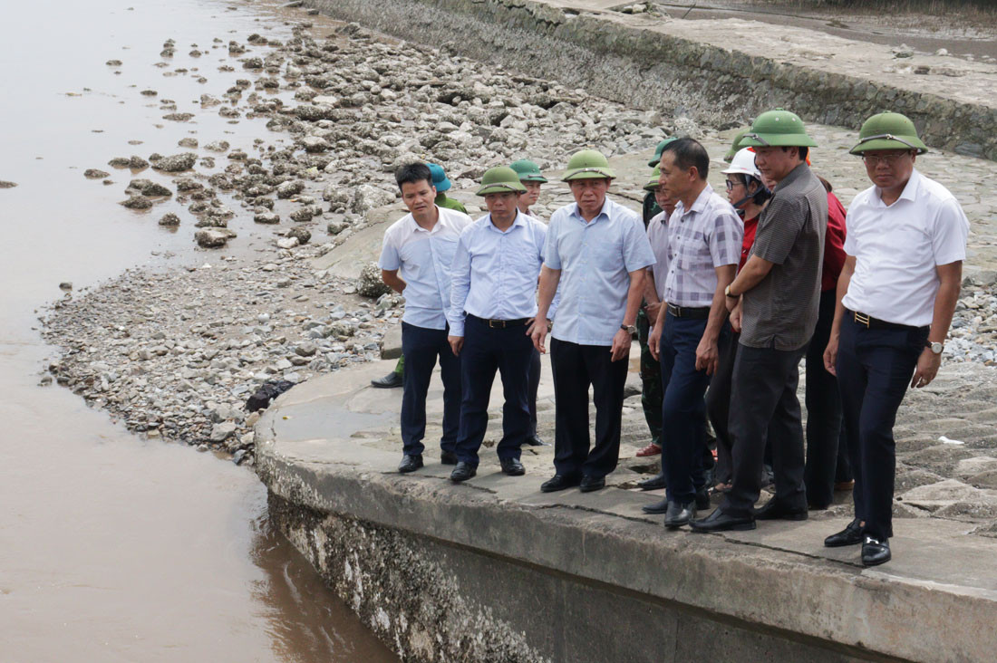 Hai Phong trien khai phuong an, kich ban ung pho voi bao so 3-Hinh-3