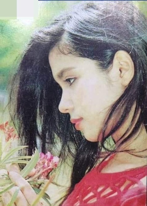 “Con trai của Trinh đã 13 tuổi, đang tiền dậy thì. Trinh nghĩ con rất cần Trinh ở bên cạnh trong thời điểm này. Vì con ở tuổi tâm sinh lý thay đổi, rất cần mẹ ở bên cạnh, Trinh không thể đi quay phim ngày đêm như xưa được", Việt Trinh nói.