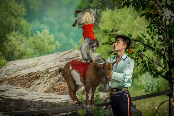 Dai gia o dat nuoc bi an Trieu Tien thu gian the nao?-Hinh-3