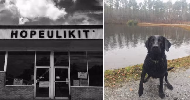 Một trong những thị trấn có tên lạ nhất đó là Hopeulikit, Georgia: Tên của thị trấn được phát âm như cụm từ “Hope you like it” (tạm dịch là Hy vọng bạn thích nó). Đây là một cộng đồng không chính thức, đồng nghĩa thị trấn không có được đường danh giới.