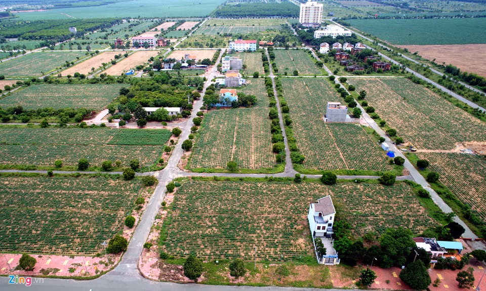 Nổi bất nhất của tình trạng chủ đầu tư "bỏ của chạy lấy người" là Khu đô thị mới Long Thọ - Phước An (nằm trên 2 xã Phước An và Long Thọ) được triển khai từ năm 2005. Đây là một trong những dự án đầu tiên và có quy mô lớn, đã có hệ thống hạ tầng đường sá hoàn chỉnh. Tuy nhiên, các lô đất vẫn chỉ là những bãi trồng sắn rộng lớn.
