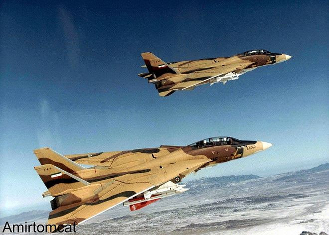 Ngay cả những chiếc tiêm kích F-14 Tomcat có lợi thế lớn về vũ khí và tên lửa so với tất cả các loại máy bay chiến đấu khác vào thời điểm đó, nhưng MiG-25 vẫn tỏ ra là một thách thức nghiêm trọng.