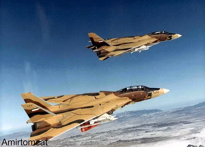 Ngay cả những chiếc tiêm kích F-14 Tomcat có lợi thế lớn về vũ khí và tên lửa so với tất cả các loại máy bay chiến đấu khác vào thời điểm đó, nhưng MiG-25 vẫn tỏ ra là một thách thức nghiêm trọng.