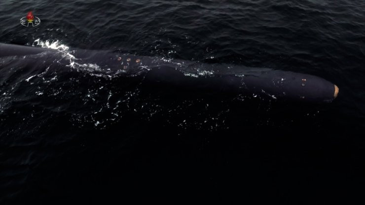 Trieu Tien bat ngo ra mat tau ngam tu hanh hat nhan-Hinh-2