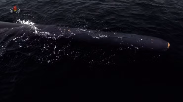 Trieu Tien bat ngo ra mat tau ngam tu hanh hat nhan-Hinh-2