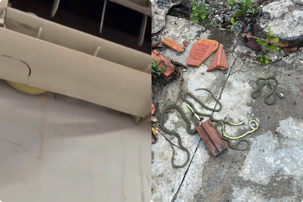 O ran chui vao dieu hoa, gia chu “hon sieu phach lac“