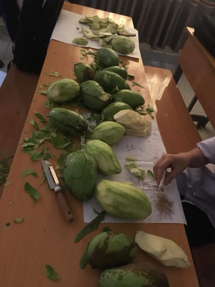 Đối với những cây xoài được trồng trong sân trường đều trở thành mục tiêu được nhiều học sinh, sinh viên nhắm tới. Ảnh: Pham Minh/Trường Người Ta