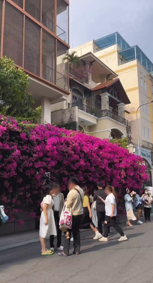 Tuy nhiên, nhiều du khách vẫn thản nhiên đến chụp hình bất chấp biển hạn chế chụp hình được đặt ngay giữa bức tường hoa.