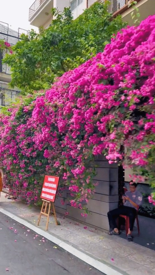 Các bạn trẻ cũng cần phải xem lại hành động của mình, kể cả muốn chụp ảnh cũng nên giữ ý thức chung, tránh làm ảnh hưởng đến mọi người xung quanh.