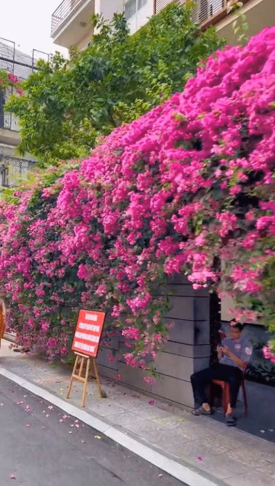 Các bạn trẻ cũng cần phải xem lại hành động của mình, kể cả muốn chụp ảnh cũng nên giữ ý thức chung, tránh làm ảnh hưởng đến mọi người xung quanh.